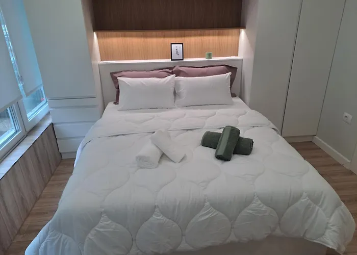 Comfy Studio In Tirana